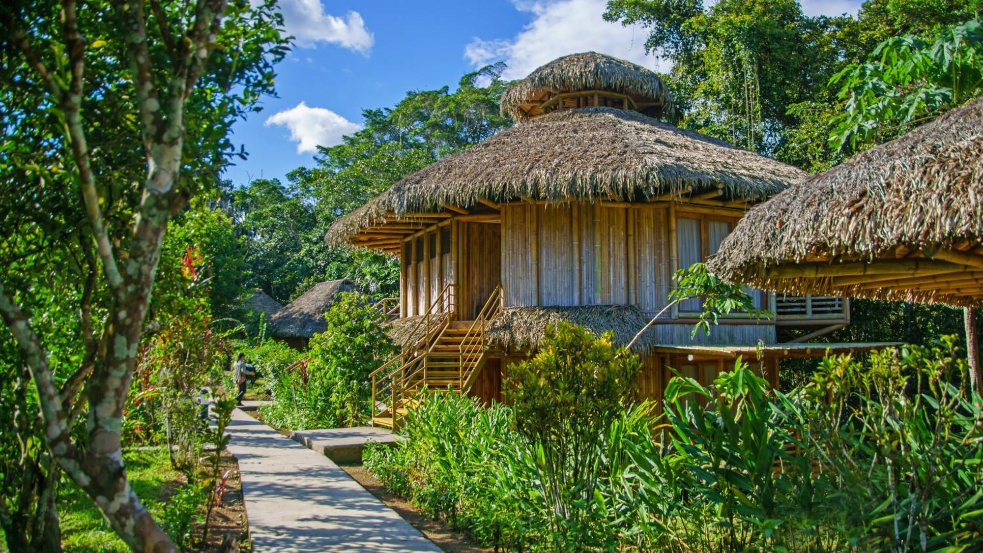 La Selva Eco-Lodge & Retreat Providencia Екстериор снимка
