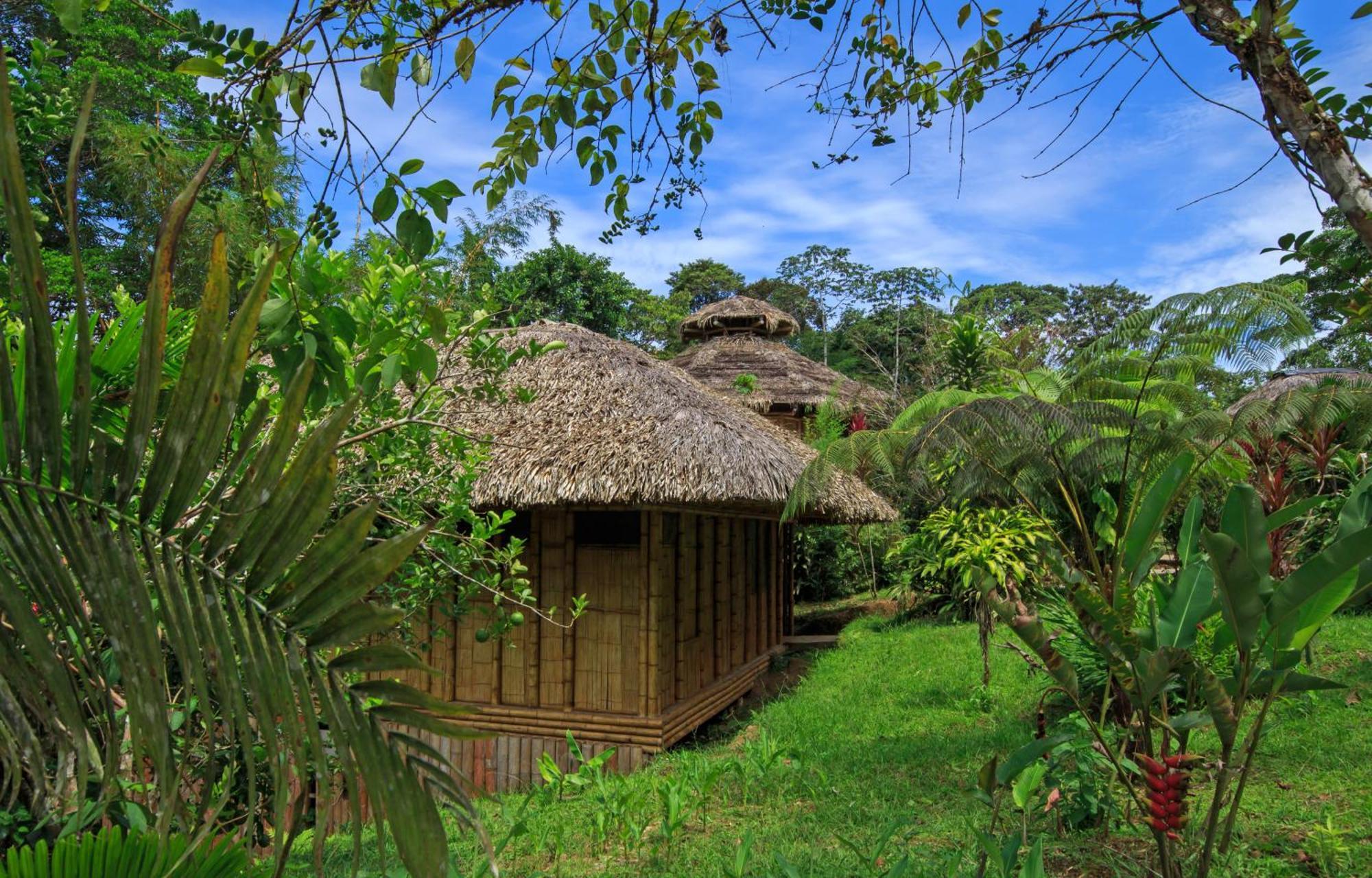 La Selva Eco-Lodge & Retreat Providencia Екстериор снимка