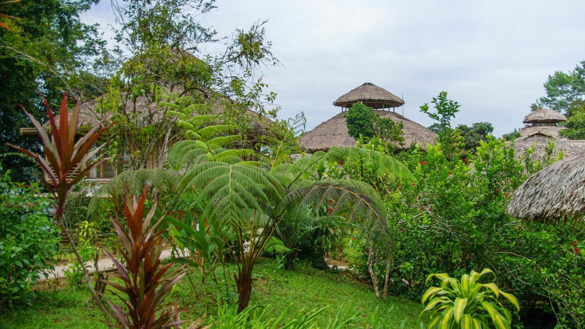 La Selva Eco-Lodge & Retreat Providencia Екстериор снимка