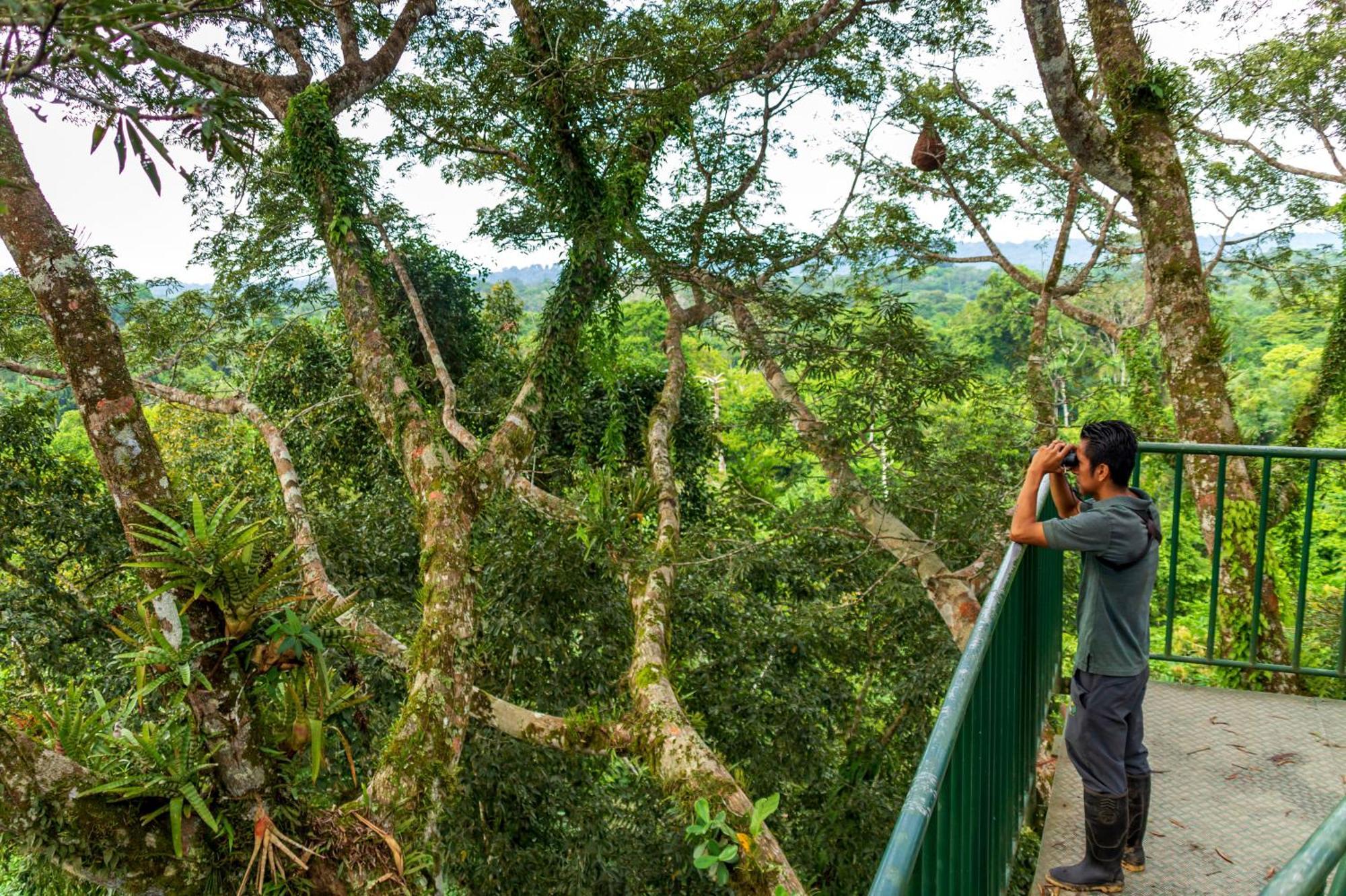 La Selva Eco-Lodge & Retreat Providencia Екстериор снимка