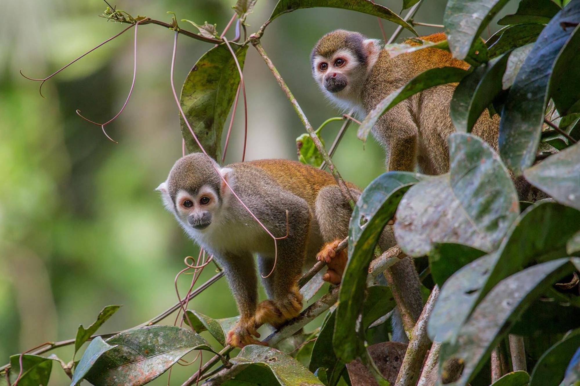 La Selva Eco-Lodge & Retreat Providencia Екстериор снимка